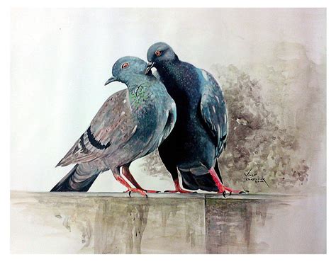 Loving Pigeon Painting by Vinod Khadilkar - Fine Art America