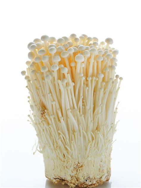 How To Grow Enoki Mushrooms: Growing And Eating Enoki Mushrooms