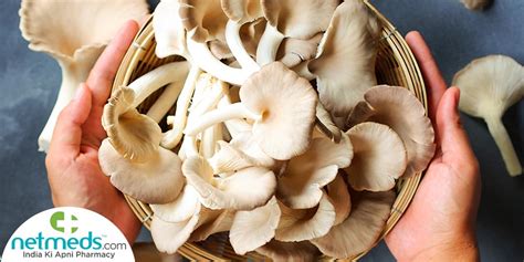 Nutritional Benefits Of Oyster Mushrooms | Besto Blog