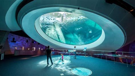 Miami : Billet d'entrée au Frost Science Museum & Planetarium | GetYourGuide