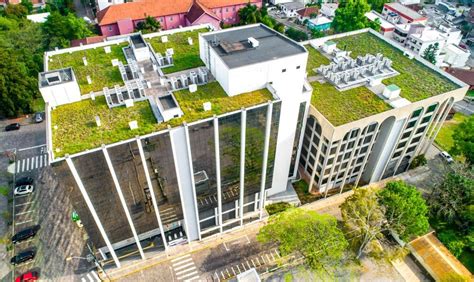 Implementing Green Roofs in Cities