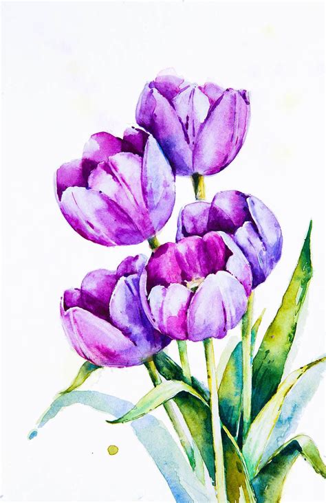 Pin by cherry Han on 0. A 꽃 | Floral watercolor paintings, Watercolor tulips, Watercolor flowers