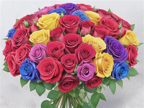 Rose Flowers Colors: Symbolism and Meaning - Florist Empire
