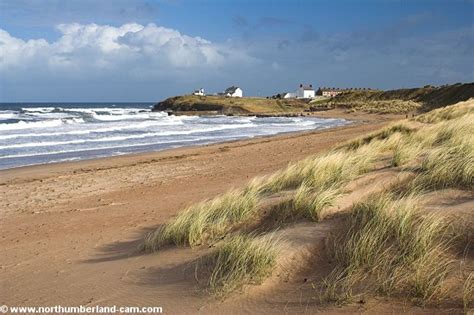 Seaton Sluice Beach Photos - Northumberland Coast