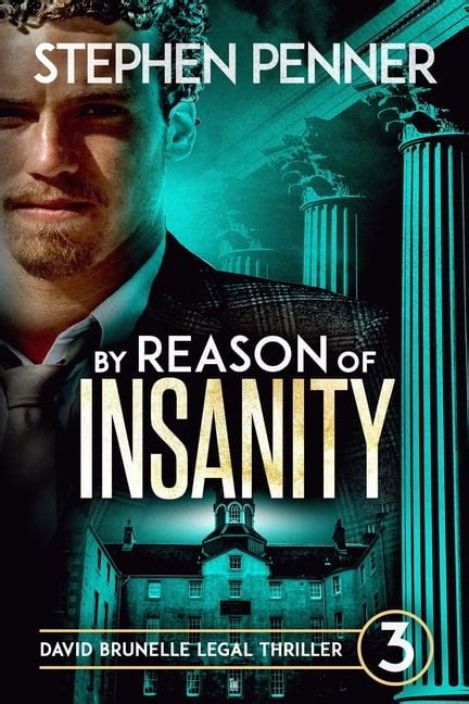 By Reason of Insanity : David Brunelle Legal Thriller #3 - Walmart.com ...