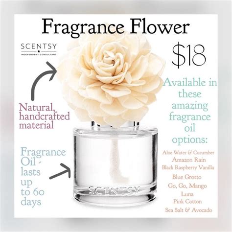 Scentsy Fragrance Flower | Scentsy fragrance, Fragrance, Scentsy