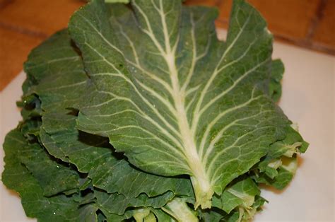 Eating From The Homestead: Cooking Beira Tronchuda Leaf Cabbage