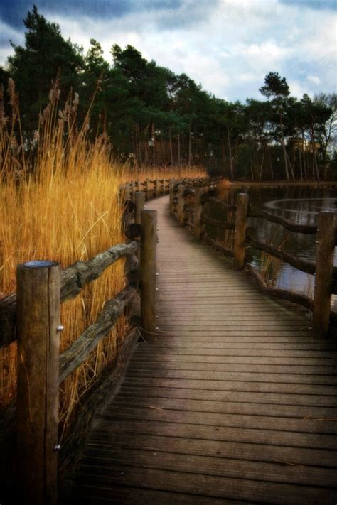 Landscape & Animals | Walkways paths, Scenery, Walking paths