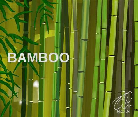 Bamboo Benefits • BB10 Around the World