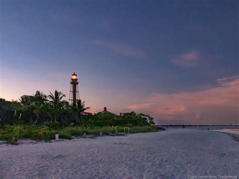 The Famous Beaches of Sanibel: A Local’s Guide to the Best Island ...