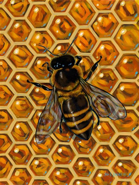 Honey bee on honeycomb painting