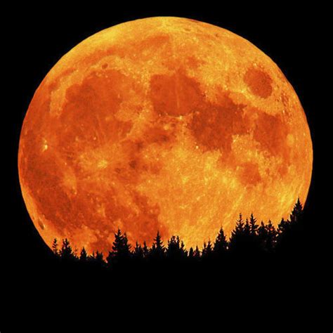 Orange Full Moon Pictures, Photos, and Images for Facebook, Tumblr ...