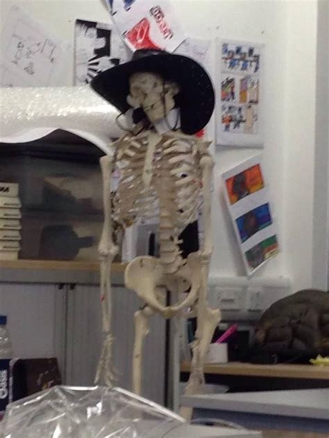 Skeleton in a Cowboy Hat