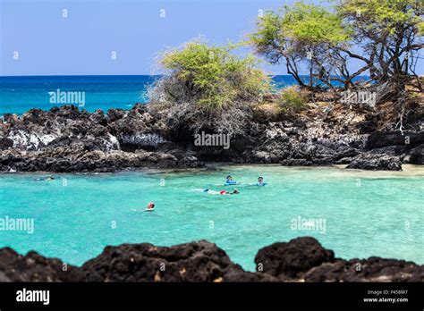 Swimmers snorkeling, Hapuna Beach, Kohala Coast, Hawai'i, USA Stock ...