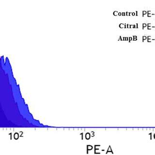 An overview of Candida tropicalis biofilm affected by citral ...