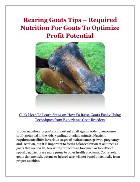 Rearing Goats Tips – Required Nutrition For Goats To Optimize Profit