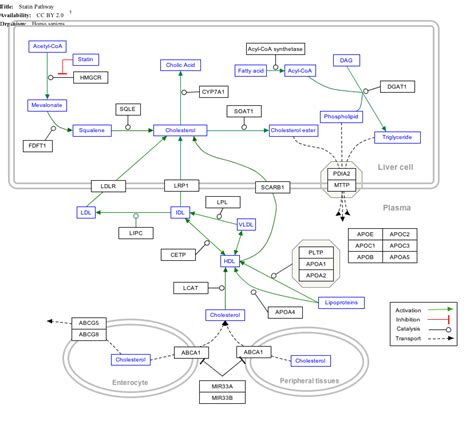 APOA4 - Wikipedia