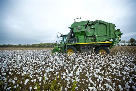 Tips for Optimizing Your Cotton Harvesting Process