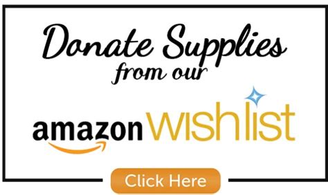 GRANDfamilies Amazon Wishlist | Children's Service Society