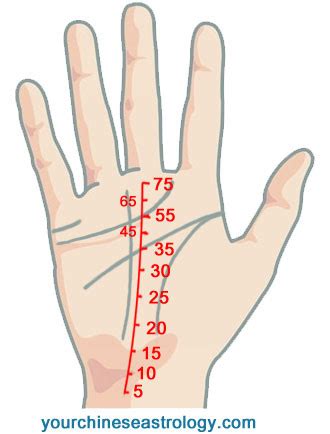 Fate Line, Career/Job Line, Luck Line Palmistry - Chinese Palm Reading