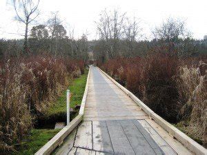 Deer Lake Park Bike Trails in Burnaby, BC