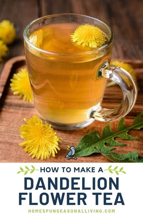 Dandelion Tea Recipe - Homespun Seasonal Living