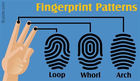 Every person in the world possesses a unique set of fingerprints ...