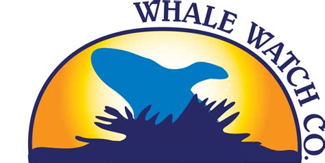 BHWW_updatedlogo_nobackground | Whale watching, Bar harbor, Whale watching tours