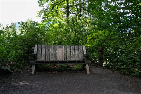 Free Stock Photo of Wooden Bench Between Trees