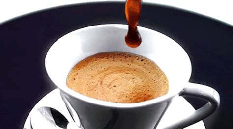 Coffee GIF - Find & Share on GIPHY