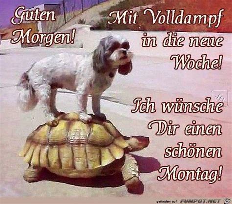 Guten Morgen heute am Montag. Würdet ihr die Möglichkeit bekommen in eure Zukunft und in die ...