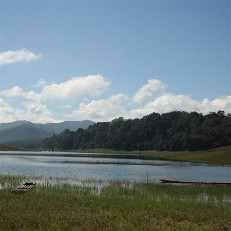 Periyar Tiger Reserve (Thekkady) - All You Need to Know BEFORE You Go