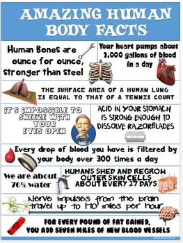 Health and Science Poster: Amazing Human Body Facts by Cap'n Pete's Power PE