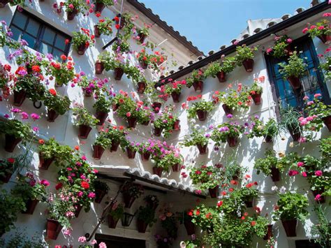 Guided Tour to the Popular Patios of Córdoba | GarnataTours.com