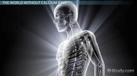 Calcium Ion Charge, Formula & Importance - Lesson | Study.com