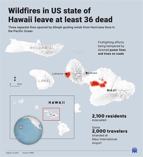 Maui Fire July 2024 - Nevsa Viviyan