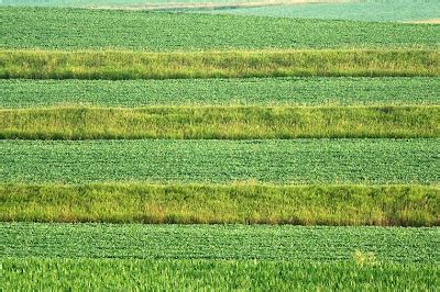 CruxPhotos: Strip farming