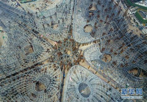 The pictures of the new Beijing airport terminal are mesmerizing ...