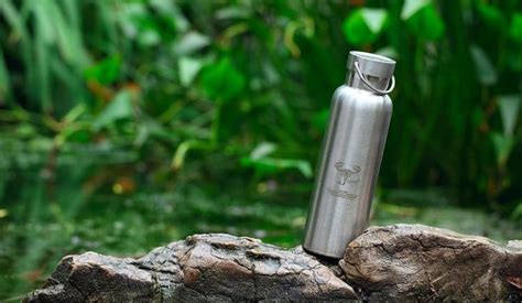 Best Hiking Water Bottle: Expert's Top Picks and Buying Guide