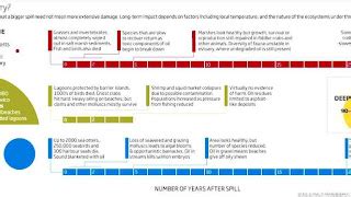 Timeline of the Deepwater Horizon oil spill