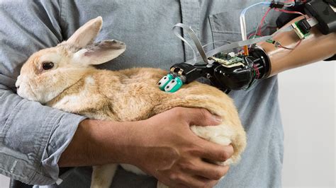 Watch This Robotic Hand Can Touch and Feel, Just Like a Human Hand ...