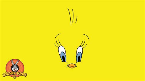 Angry Tweety Quotes