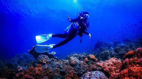 Scuba Diving Photography on Behance