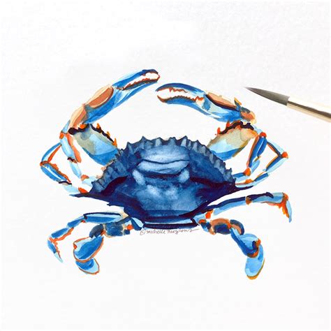 Hand-painted blue crab nautical illustration by artist Michelle Mospens. Mospens Studio | Custom ...