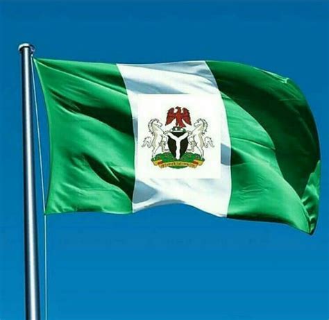 Nigerian Flag Illustrations Royalty Free Vector Graph - vrogue.co