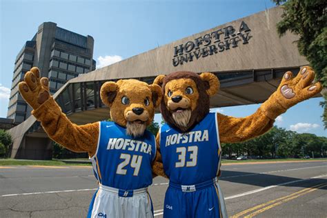 University Spotlight: Hofstra University (HU) - Slamstox