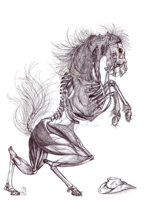 Skeleton Horse by Teggy on DeviantArt