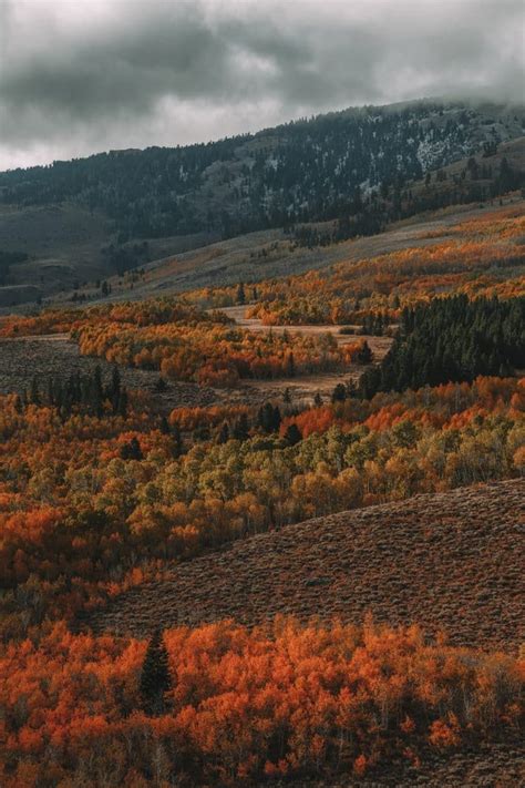 Where To See Fall Colors In California: 21 BEST Spots In 2023