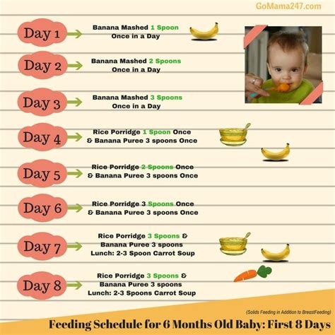 feeding schedule of a 6 months old baby | Baby diet, Baby first foods ...