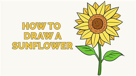 How to Draw a Sunflower - Easy Step-by-Step Drawing Tutorial for Kids ...